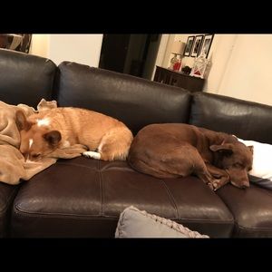 Meet your Posher, Avery